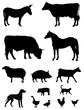 Farm animals