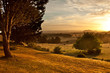 Pasture at sunrise
