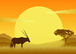 Oryxantilope