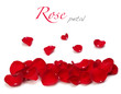 rose petals