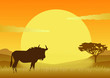 Gnu