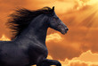 Portrait of galloping frisian horse