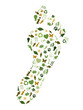 "FOOTPRINT" collage (renewable energy green environmentally)