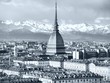 Turin view