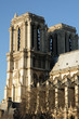 France, Paris, cathédrale Notre-Dame
