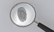 lupe und fingerabdruck