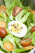 Salat