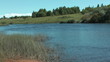 Summer Landscape on the River.