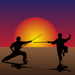 Martial Arts in the Twilight