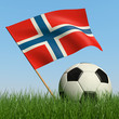 Soccer ball in the grass and flag of Norway.