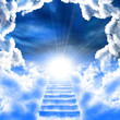 ladder up to skies