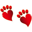 Traces of Loveю.Vector