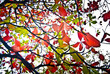 Autumn leaves
