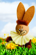Osterhase