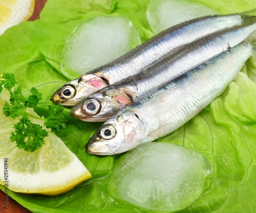 Photo: Salat, Fisch Salat, Fisch