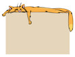 Sleeping Ginger cat and free space for your text