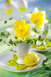 narcissus in eggcups narcissus in eggcups