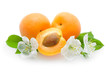 apricots