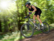 mountain biker
