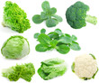 cabbage and green vegetable collection