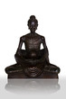Buddha attitude subduing himself image Buddha attitude subduing himself image