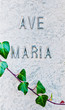 Detail of marble headstone and ivy Detail of marble headstone and ivy