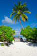 Foto: Holiday Paradise Holiday Paradise