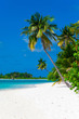 Foto: Holiday Paradise Holiday Paradise