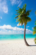 Foto: Holiday Paradise Holiday Paradise