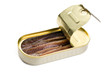 anchovies fillets in tin can