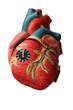 heart and watches
