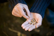 A man holding seeds