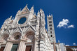 The cathedral of Siena The cathedral of Siena