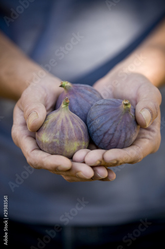 Photo: A man holding figs, close-up A man holding figs, close-up
