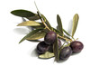 Photo: olive176 olive176