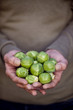 A man holding a handful of brussels sprouts