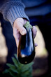A man holding an aubergine, close-up