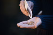 A man pouring seeds into his hand