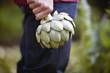 A man holding a globe artichoke