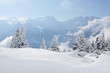 Bergpanorama