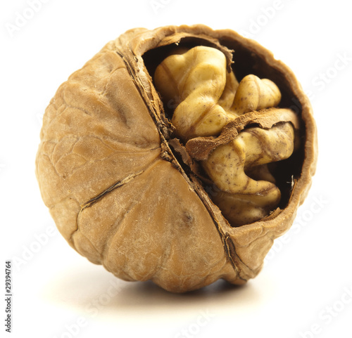 unshelled walnut