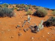 Desert