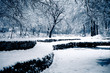 Photo: winter lendscape winter lendscape