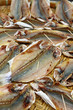 Salted fishes in Tai O, Hong Kong