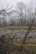 plastic pollution on adda river bank