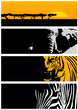 wild animal banner