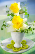 narcissus in eggcups