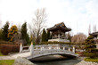Chinese japanese garden - chinesischer garten
