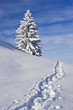 Wintertraum