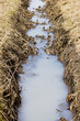 Sewage drainage system